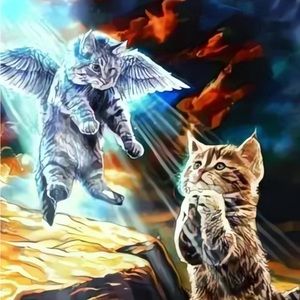 Meet your Posher, Naw